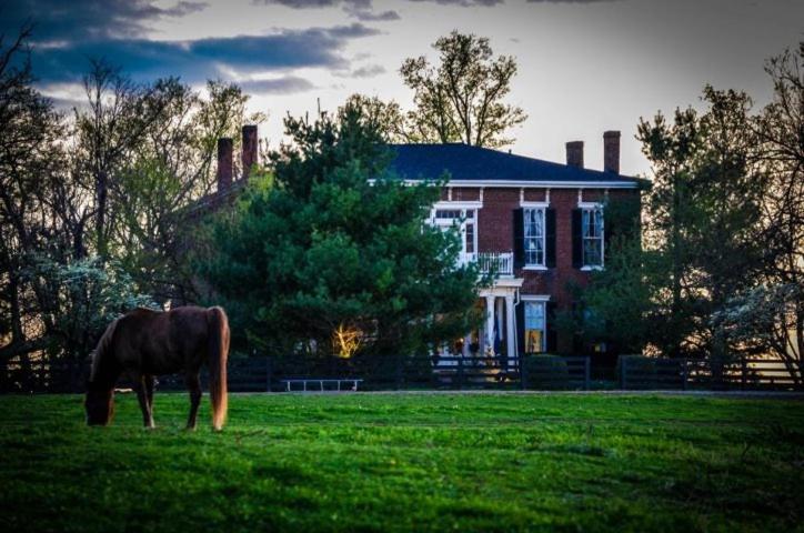 Maple Hill Manor Bed & Breakfast Springfield Exterior photo
